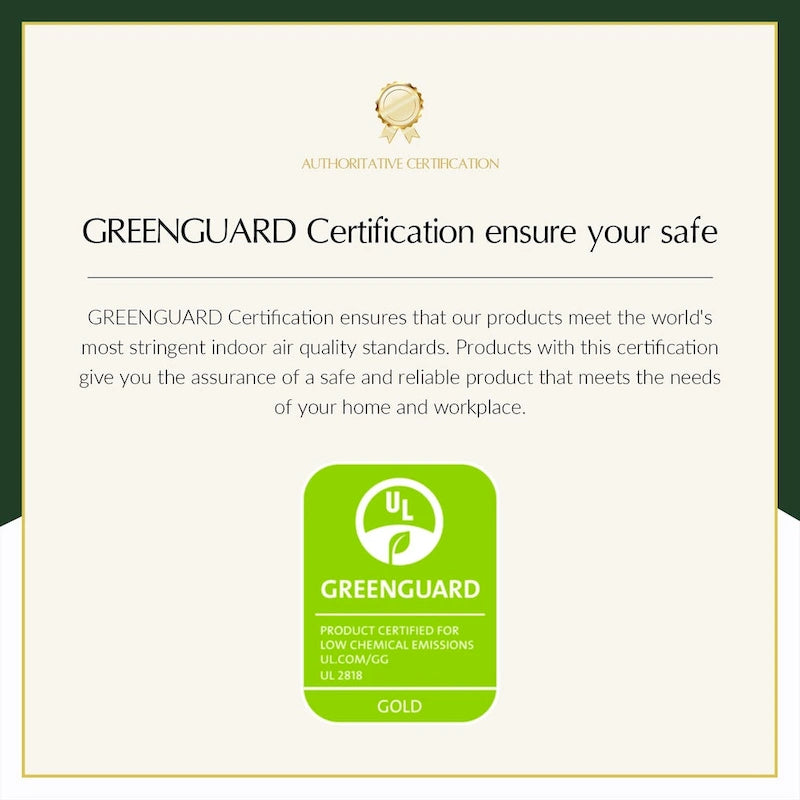 Larry Traditional Floral Dual Motor Heated Lift Assist Power Recliner with Massage Set of 2 by HULALA HOME