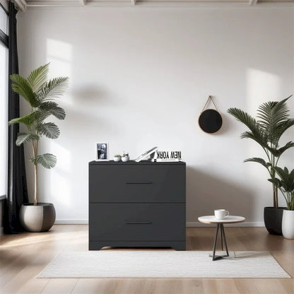 2-Drawer Storage Filing Cabinet