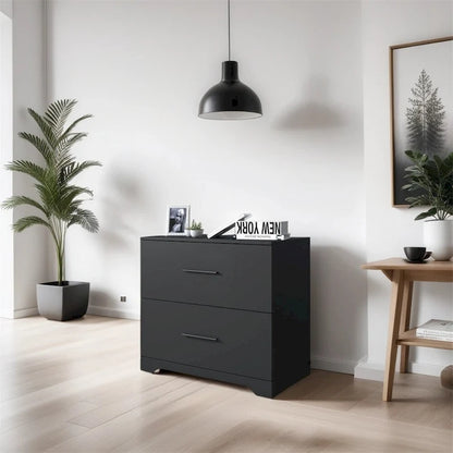 2-Drawer Storage Filing Cabinet